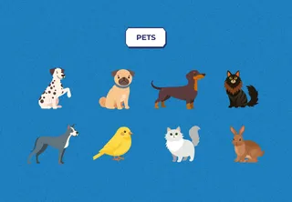 Motor Lab game 'Pets' options: a dalmatian, pug, dachshund, cats, a bird and a rabbit